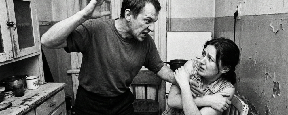 Gemini_Generated_Image_lt4ehflt4ehflt4e