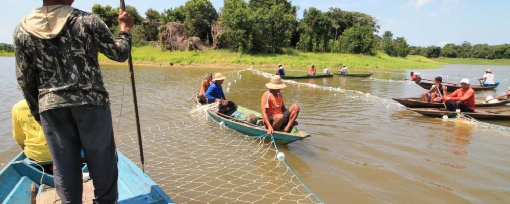 WhatsApp-Image-2026-01-31-at-10.53.09